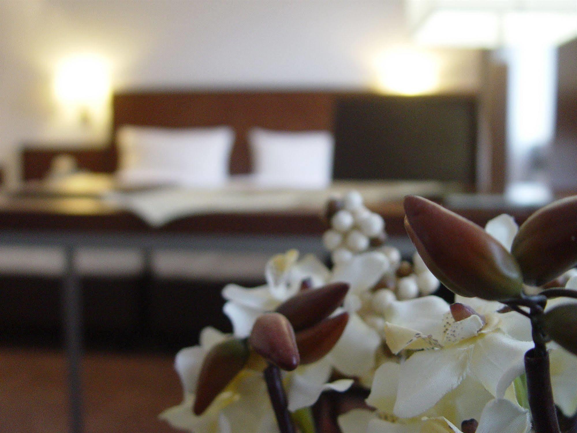Hotel Zum Adler Bonn Zewnętrze zdjęcie